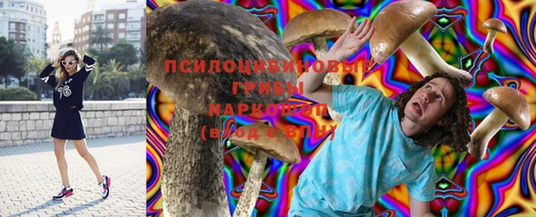 хмурый Бородино