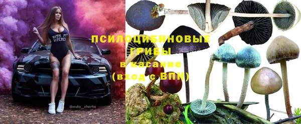 стаф Бронницы